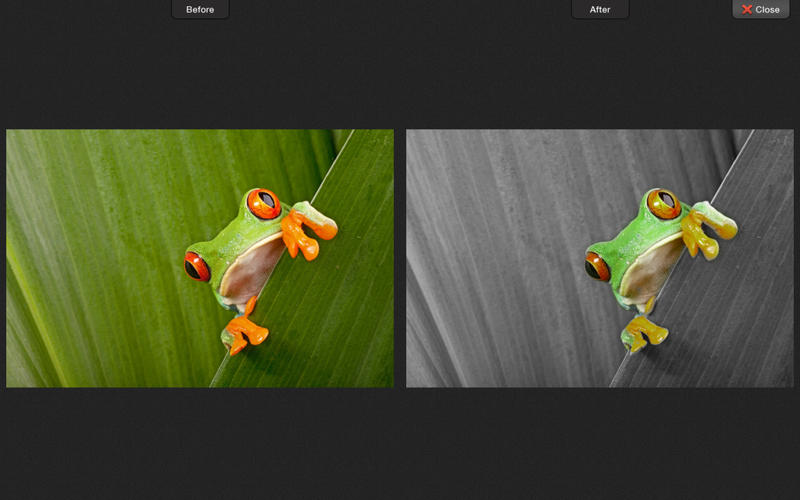 color splashing